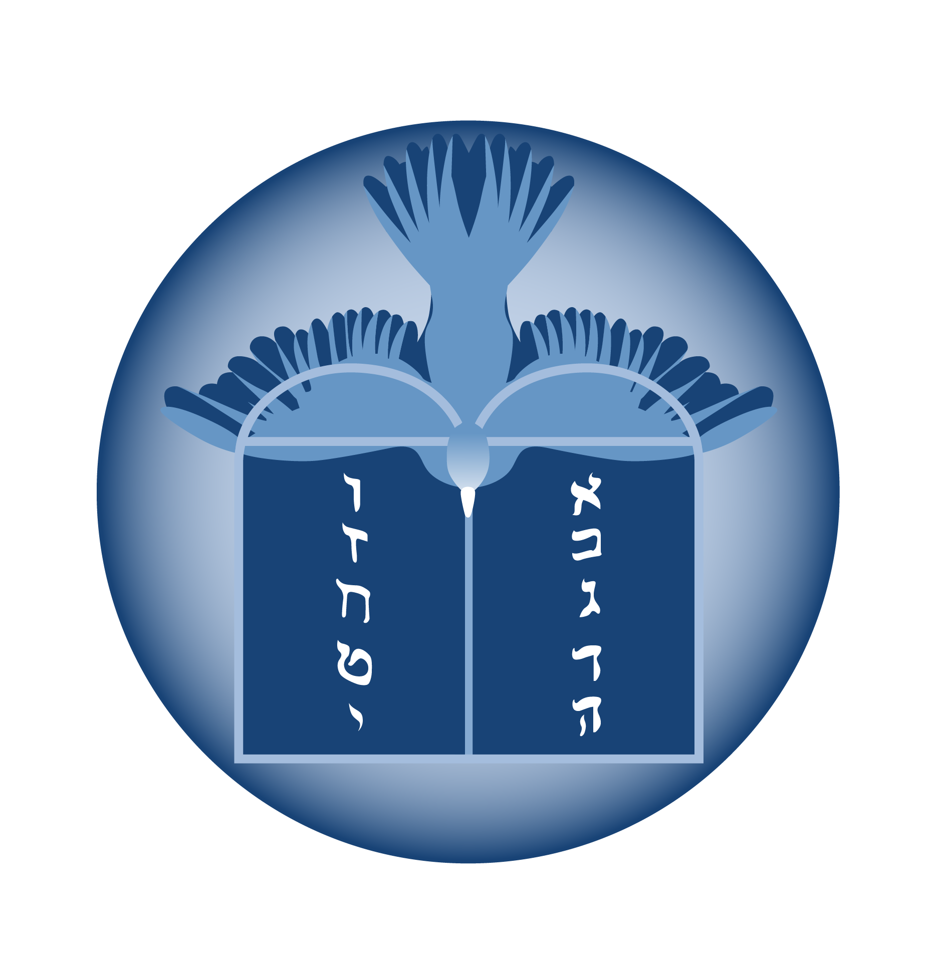 CACI Logo